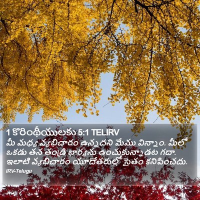 1 కొరింథీయులకు 5:1 TELIRV Bible Verse Image