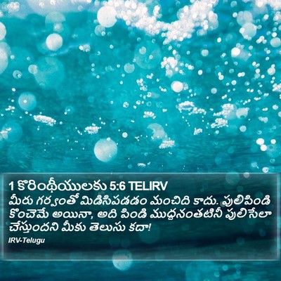 1 కొరింథీయులకు 5:6 TELIRV Bible Verse Image