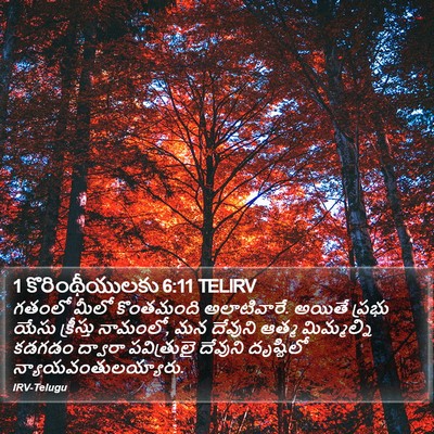 1 కొరింథీయులకు 6:11 TELIRV Bible Verse Image