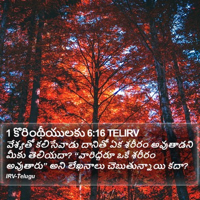 1 కొరింథీయులకు 6:16 TELIRV Bible Verse Image