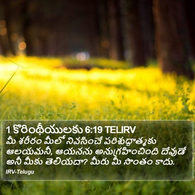 1 కొరింథీయులకు 6:19 TELIRV Bible Verse Image