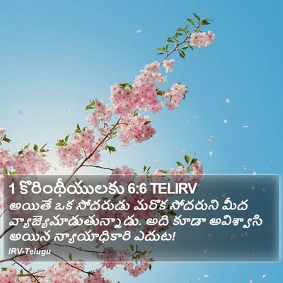 1 కొరింథీయులకు 6:6 TELIRV Bible Verse Image