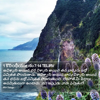 1 కొరింథీయులకు 7:14 TELIRV Bible Verse Image