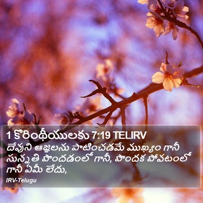 1 కొరింథీయులకు 7:19 TELIRV Bible Verse Image