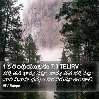 1 కొరింథీయులకు 7:3 TELIRV Bible Verse Image
