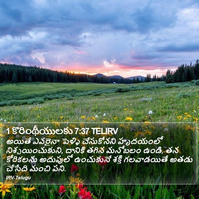 1 కొరింథీయులకు 7:37 TELIRV Bible Verse Image