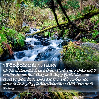 1 కొరింథీయులకు 7:5 TELIRV Bible Verse Image