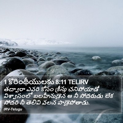 1 కొరింథీయులకు 8:11 TELIRV Bible Verse Image