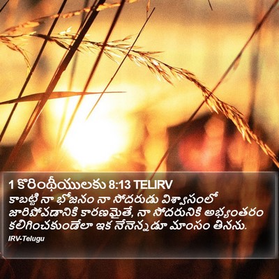1 కొరింథీయులకు 8:13 TELIRV Bible Verse Image