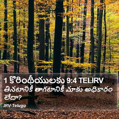 1 కొరింథీయులకు 9:4 TELIRV Bible Verse Image