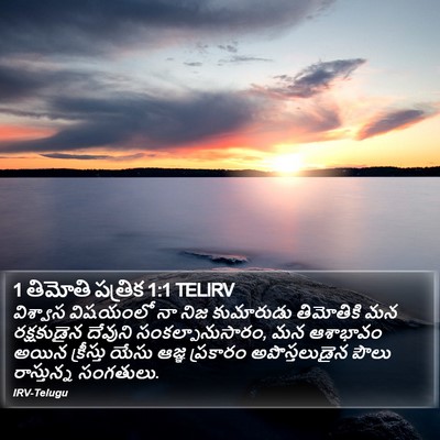 1 తిమోతి పత్రిక 1:1 TELIRV Bible Verse Image