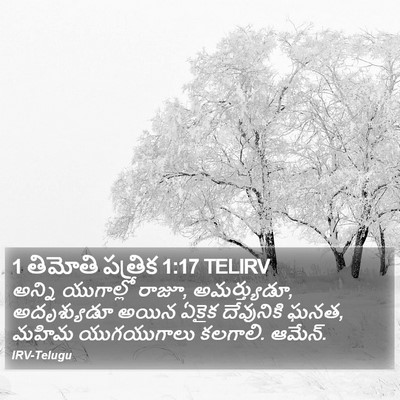 1 తిమోతి పత్రిక 1:17 TELIRV Bible Verse Image