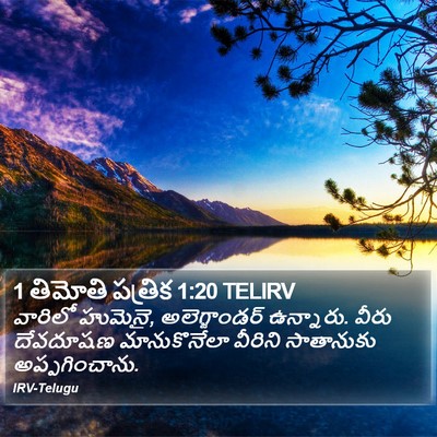 1 తిమోతి పత్రిక 1:20 TELIRV Bible Verse Image