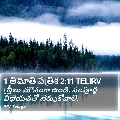 1 తిమోతి పత్రిక 2:11 TELIRV Bible Verse Image