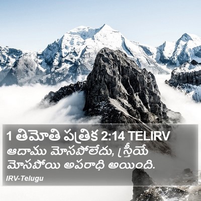 1 తిమోతి పత్రిక 2:14 TELIRV Bible Verse Image