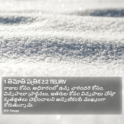1 తిమోతి పత్రిక 2:2 TELIRV Bible Verse Image