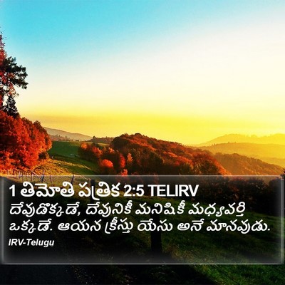 1 తిమోతి పత్రిక 2:5 TELIRV Bible Verse Image