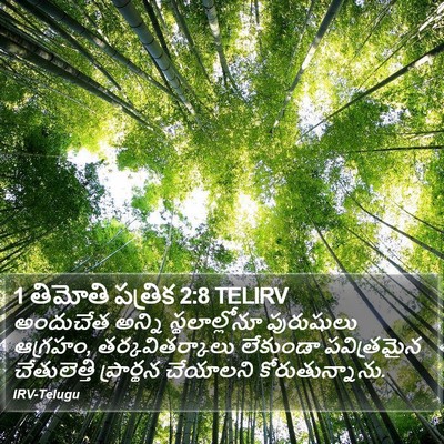 1 తిమోతి పత్రిక 2:8 TELIRV Bible Verse Image