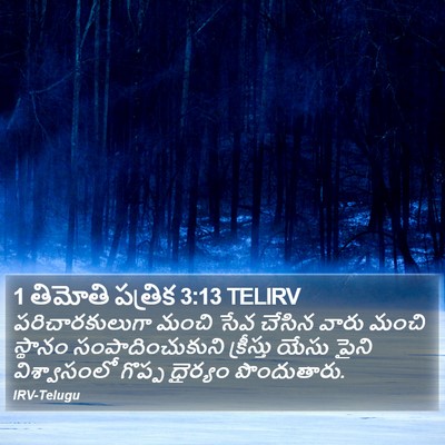 1 తిమోతి పత్రిక 3:13 TELIRV Bible Verse Image