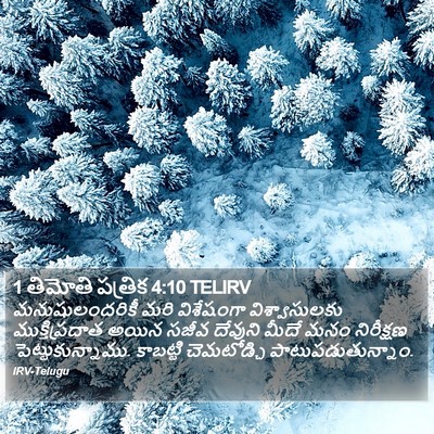 1 తిమోతి పత్రిక 4:10 TELIRV Bible Verse Image