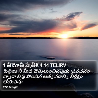 1 తిమోతి పత్రిక 4:14 TELIRV Bible Verse Image