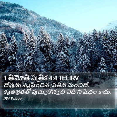 1 తిమోతి పత్రిక 4:4 TELIRV Bible Verse Image
