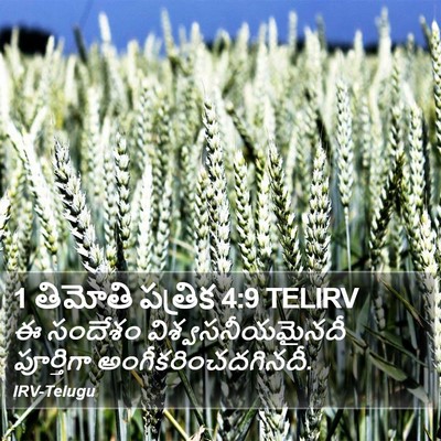 1 తిమోతి పత్రిక 4:9 TELIRV Bible Verse Image