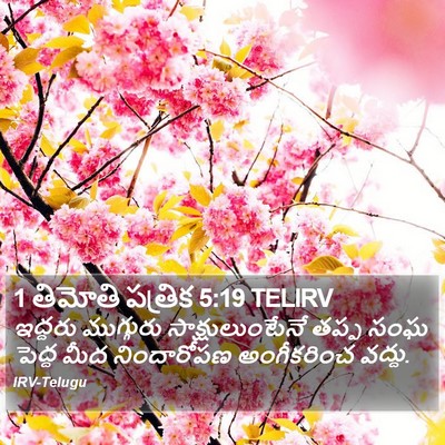 1 తిమోతి పత్రిక 5:19 TELIRV Bible Verse Image