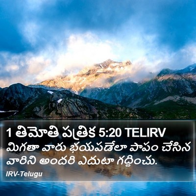 1 తిమోతి పత్రిక 5:20 TELIRV Bible Verse Image