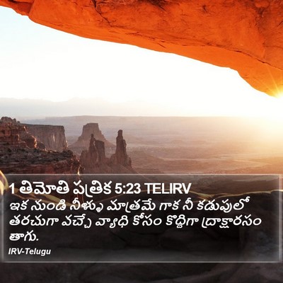 1 తిమోతి పత్రిక 5:23 TELIRV Bible Verse Image