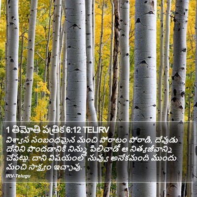 1 తిమోతి పత్రిక 6:12 TELIRV Bible Verse Image