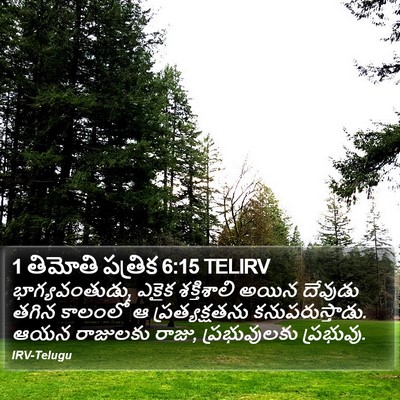 1 తిమోతి పత్రిక 6:15 TELIRV Bible Verse Image