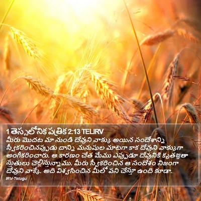 1 తెస్సలోనిక పత్రిక 2:13 TELIRV Bible Verse Image