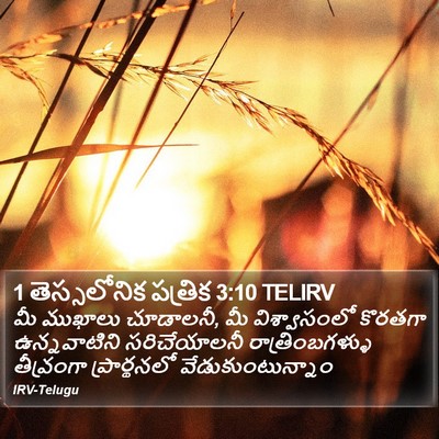 1 తెస్సలోనిక పత్రిక 3:10 TELIRV Bible Verse Image