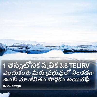 1 తెస్సలోనిక పత్రిక 3:8 TELIRV Bible Verse Image