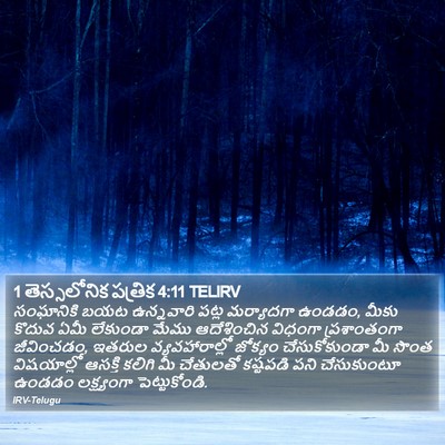 1 తెస్సలోనిక పత్రిక 4:11 TELIRV Bible Verse Image