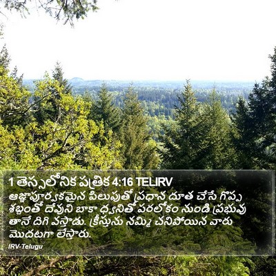 1 తెస్సలోనిక పత్రిక 4:16 TELIRV Bible Verse Image