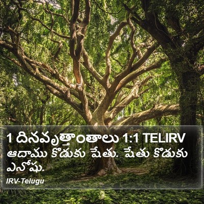 1 దినవృత్తాంతాలు 1:1 TELIRV Bible Verse Image