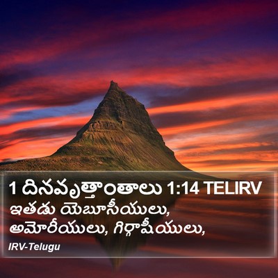 1 దినవృత్తాంతాలు 1:14 TELIRV Bible Verse Image