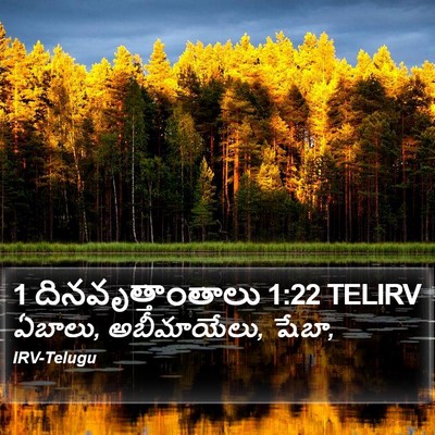 1 దినవృత్తాంతాలు 1:22 TELIRV Bible Verse Image
