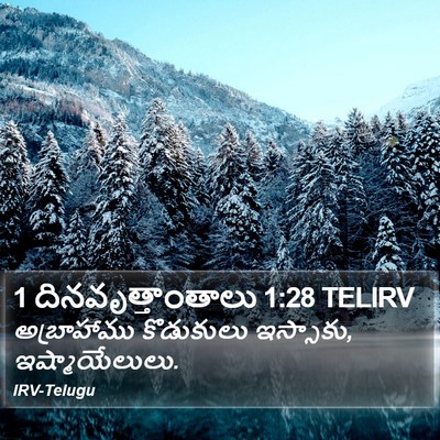 1 దినవృత్తాంతాలు 1:28 TELIRV Bible Verse Image