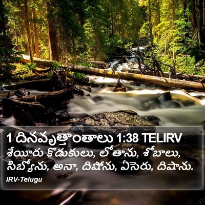1 దినవృత్తాంతాలు 1:38 TELIRV Bible Verse Image