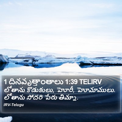 1 దినవృత్తాంతాలు 1:39 TELIRV Bible Verse Image