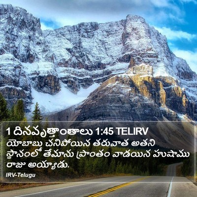 1 దినవృత్తాంతాలు 1:45 TELIRV Bible Verse Image