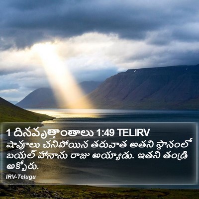 1 దినవృత్తాంతాలు 1:49 TELIRV Bible Verse Image