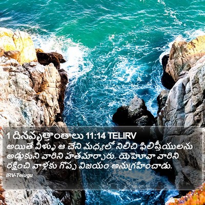 1 దినవృత్తాంతాలు 11:14 TELIRV Bible Verse Image