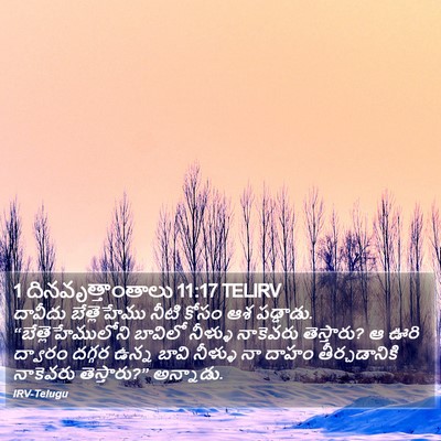1 దినవృత్తాంతాలు 11:17 TELIRV Bible Verse Image