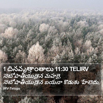 1 దినవృత్తాంతాలు 11:30 TELIRV Bible Verse Image