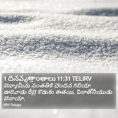 1 దినవృత్తాంతాలు 11:31 TELIRV Bible Verse Image