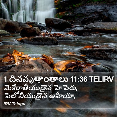1 దినవృత్తాంతాలు 11:36 TELIRV Bible Verse Image
